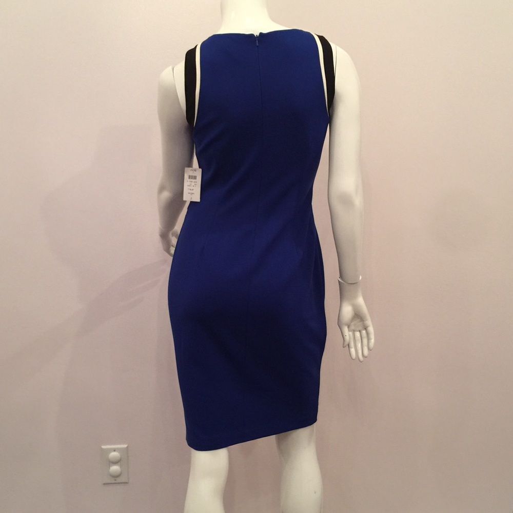 Cache blue elegant dress. - Picture 2 of 8